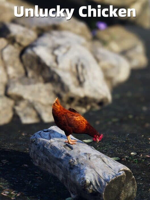 Unlucky Chicken cover