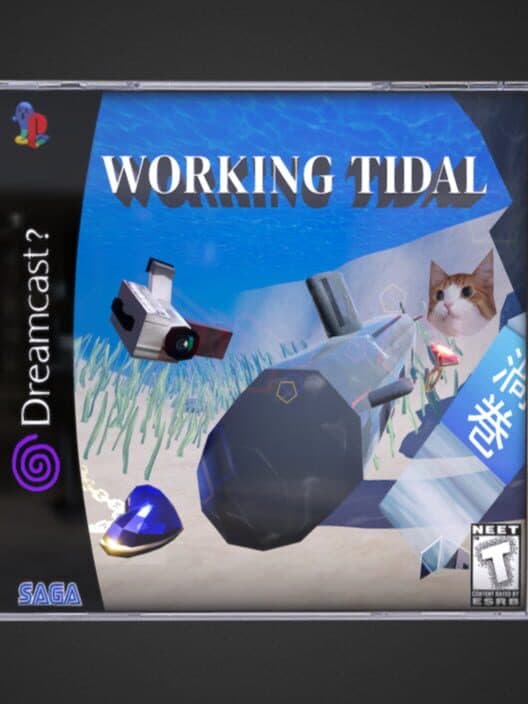 Working Tidal cover