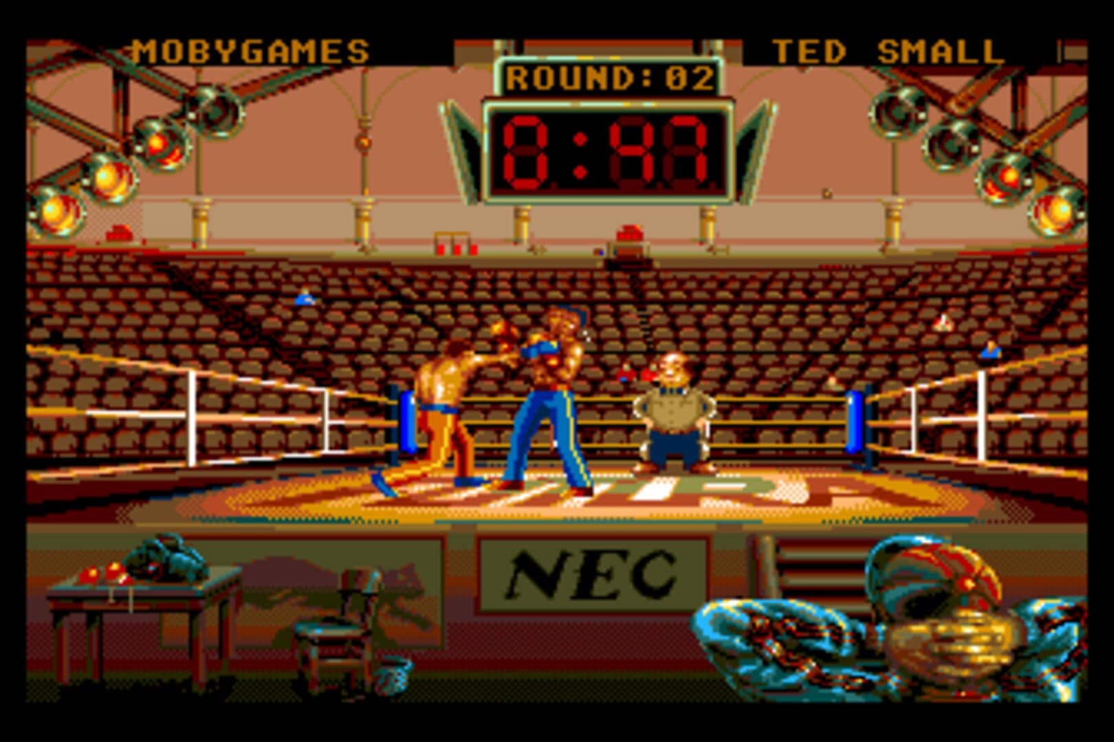 Andre Panza Kick Boxing artwork