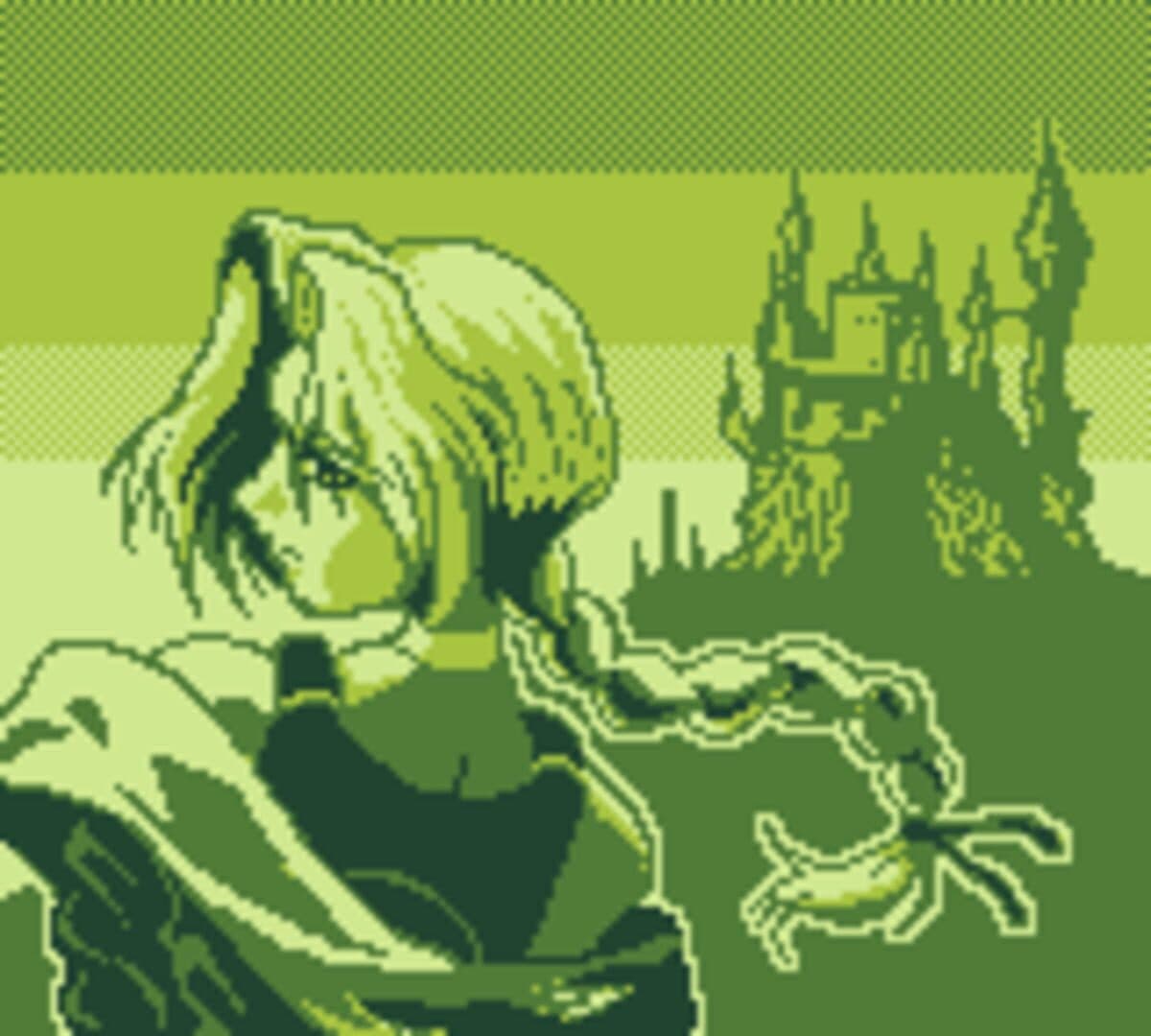 Castlevania Legends artwork
