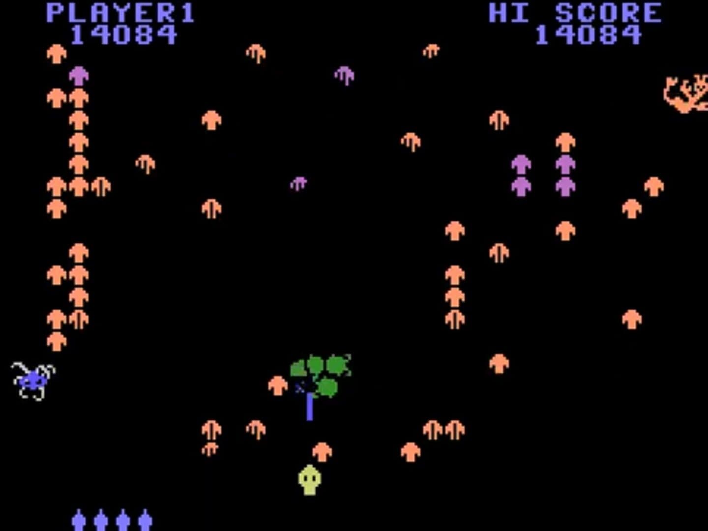 Centipede artwork