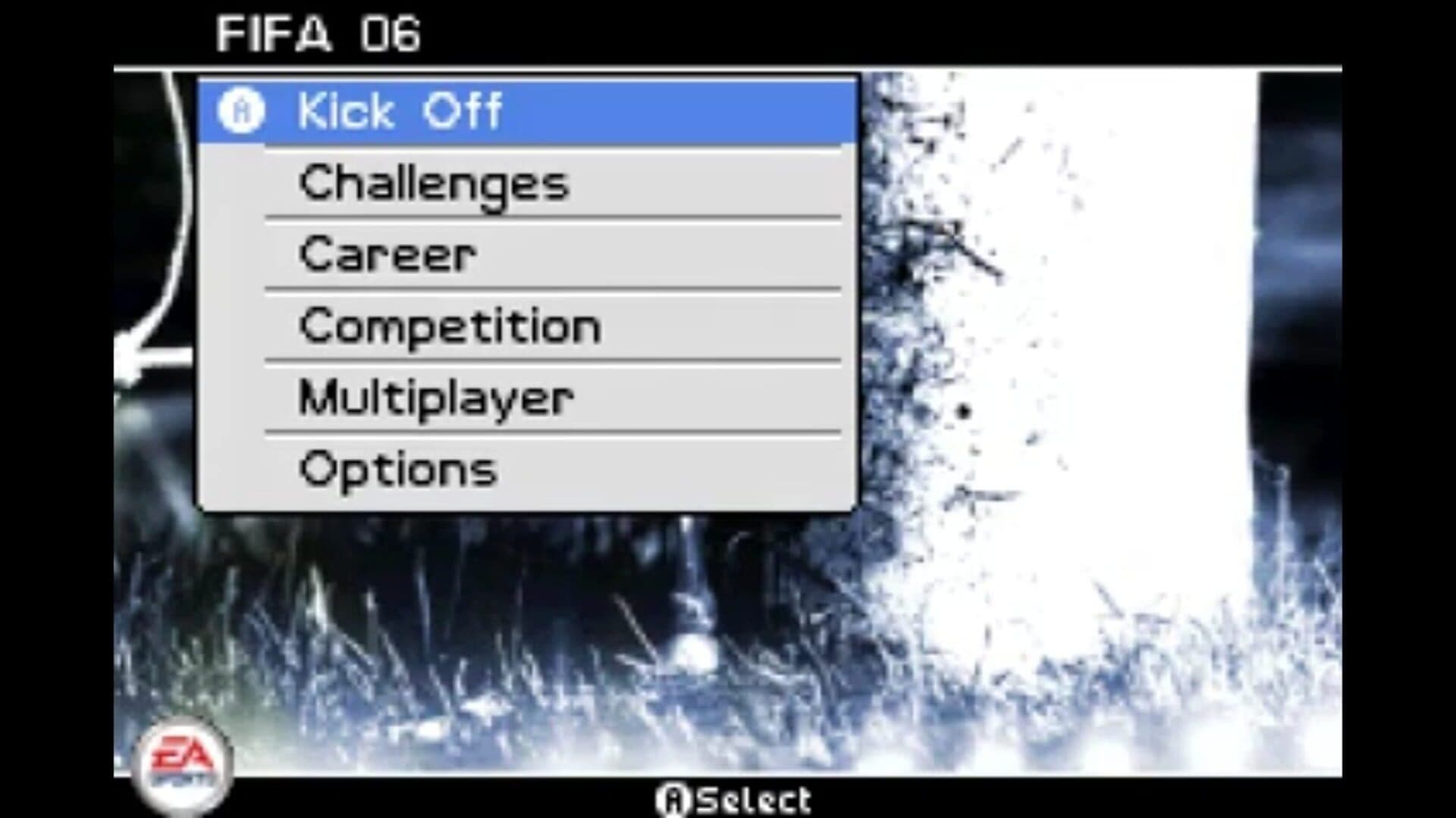 FIFA Soccer 06 artwork