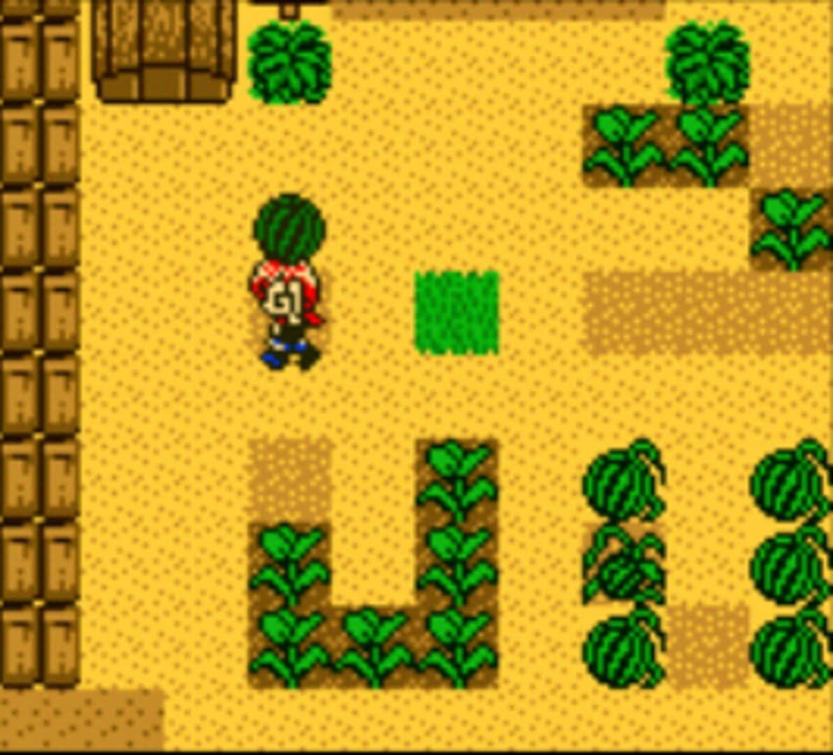 Harvest Moon 2 GBC artwork