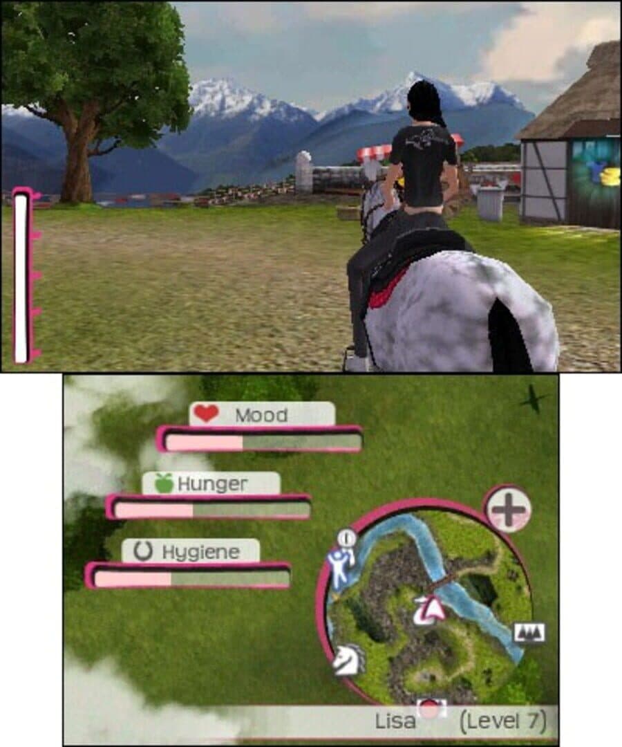 Horse Life 4 artwork