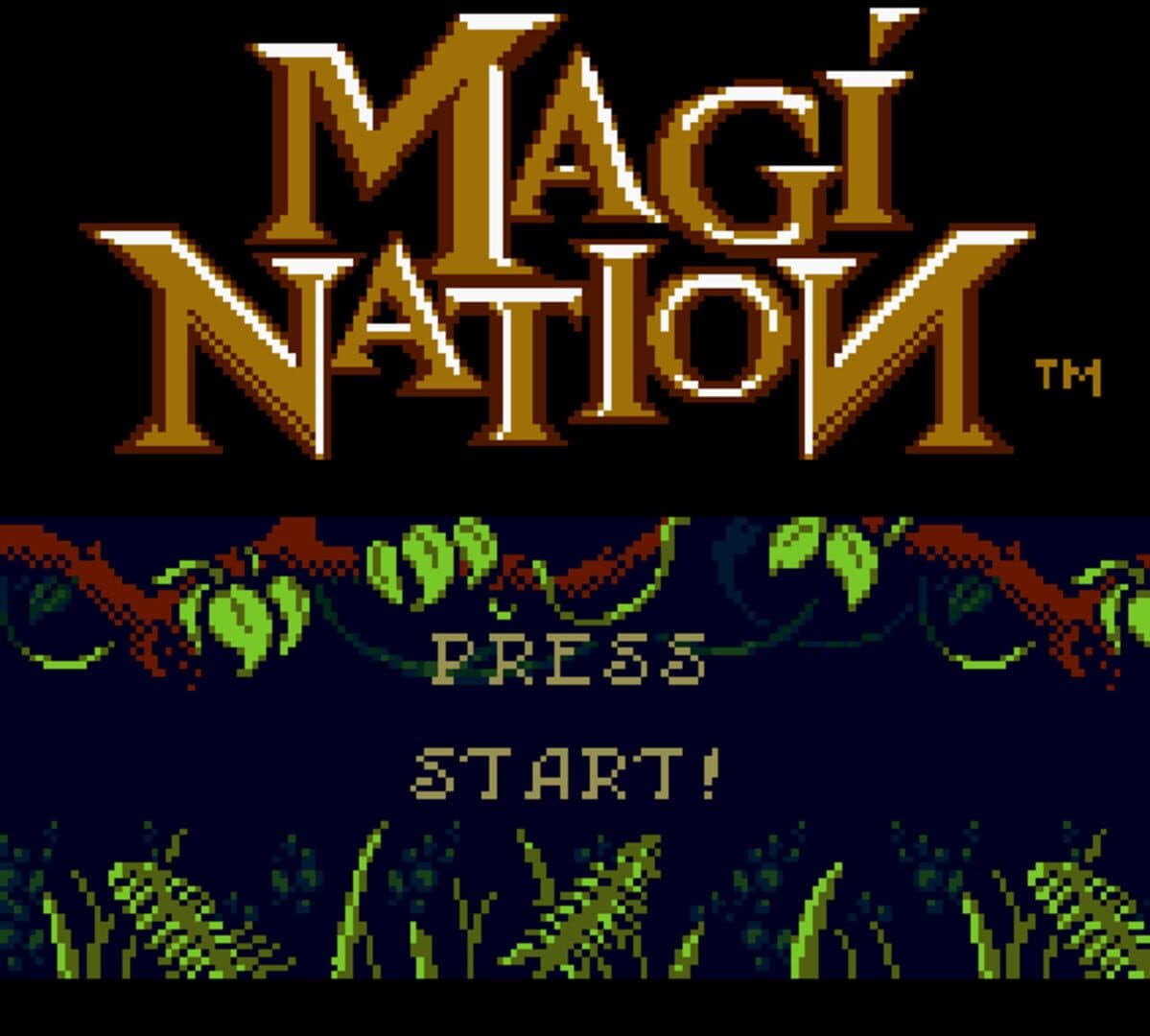 Magi Nation artwork