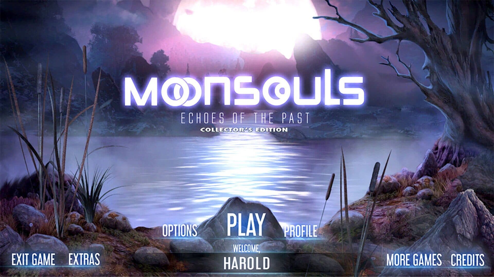 Moonsouls: Echoes of the Past artwork