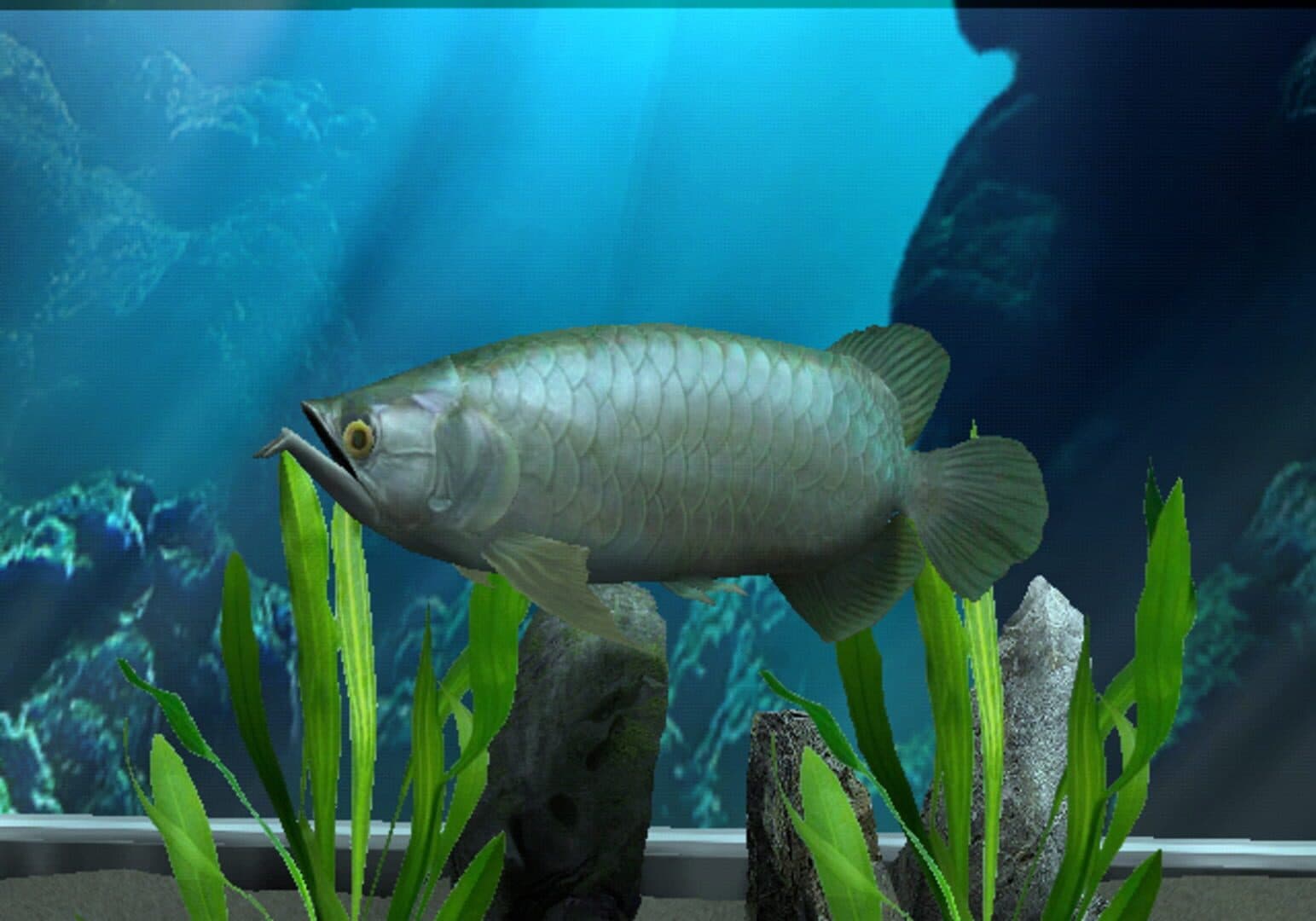 My Aquarium artwork