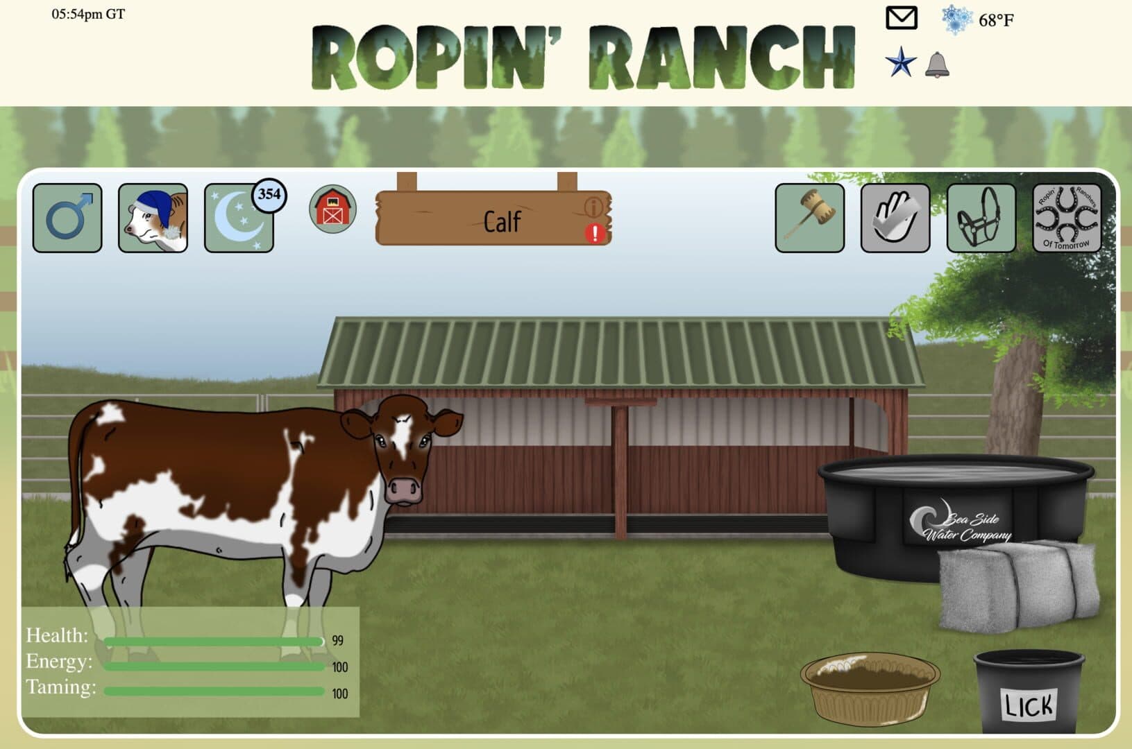 Ropin' Ranch artwork