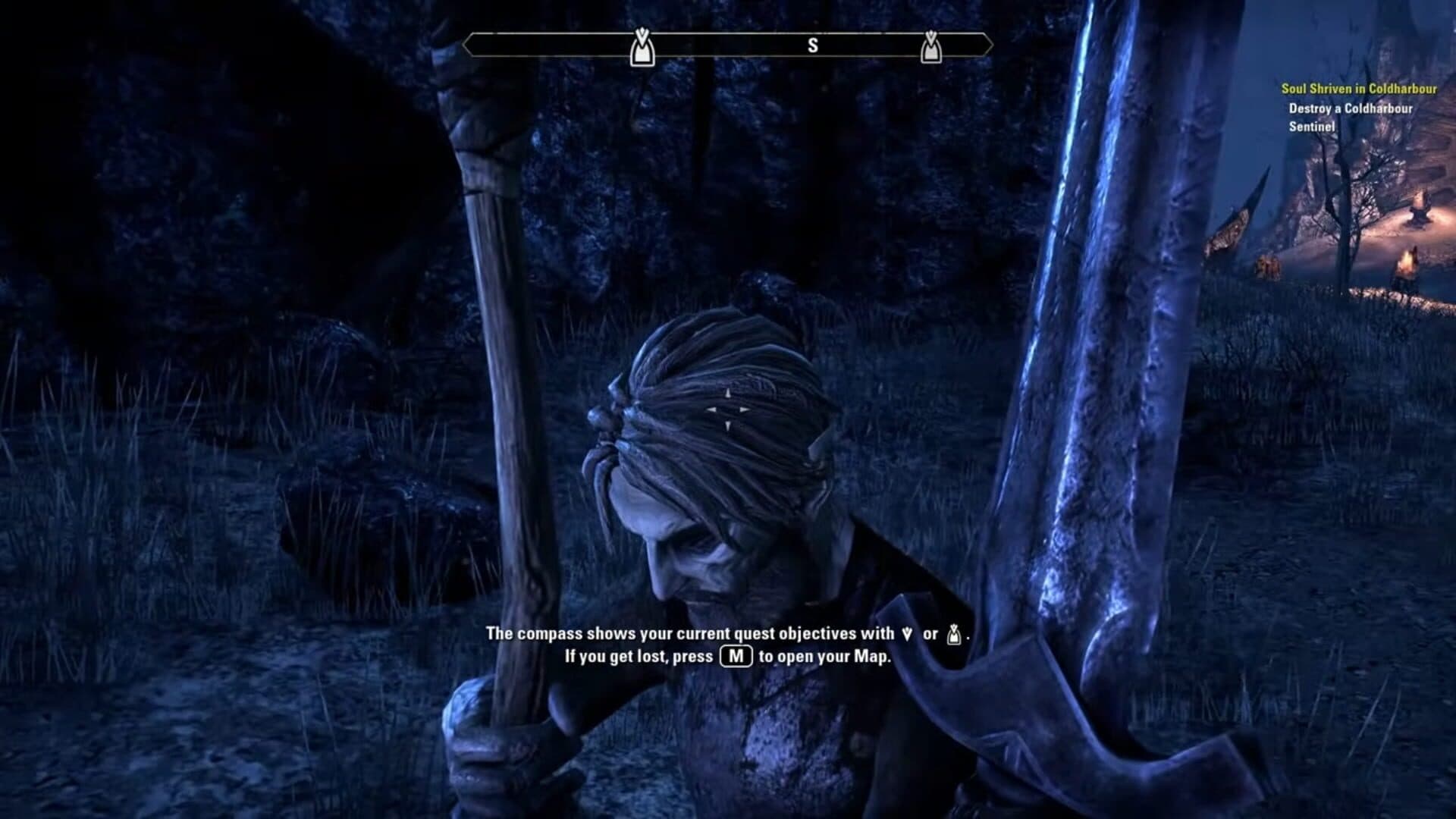 The Elder Scrolls Online: Premium Edition artwork