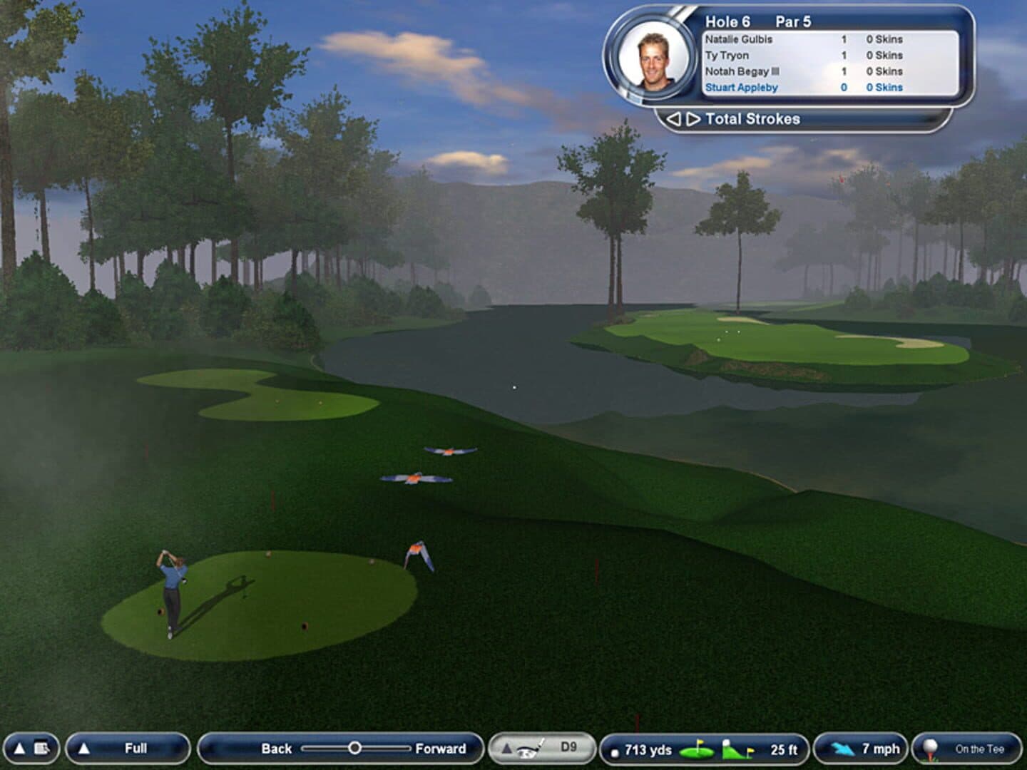 Tiger Woods PGA Tour 2004 artwork