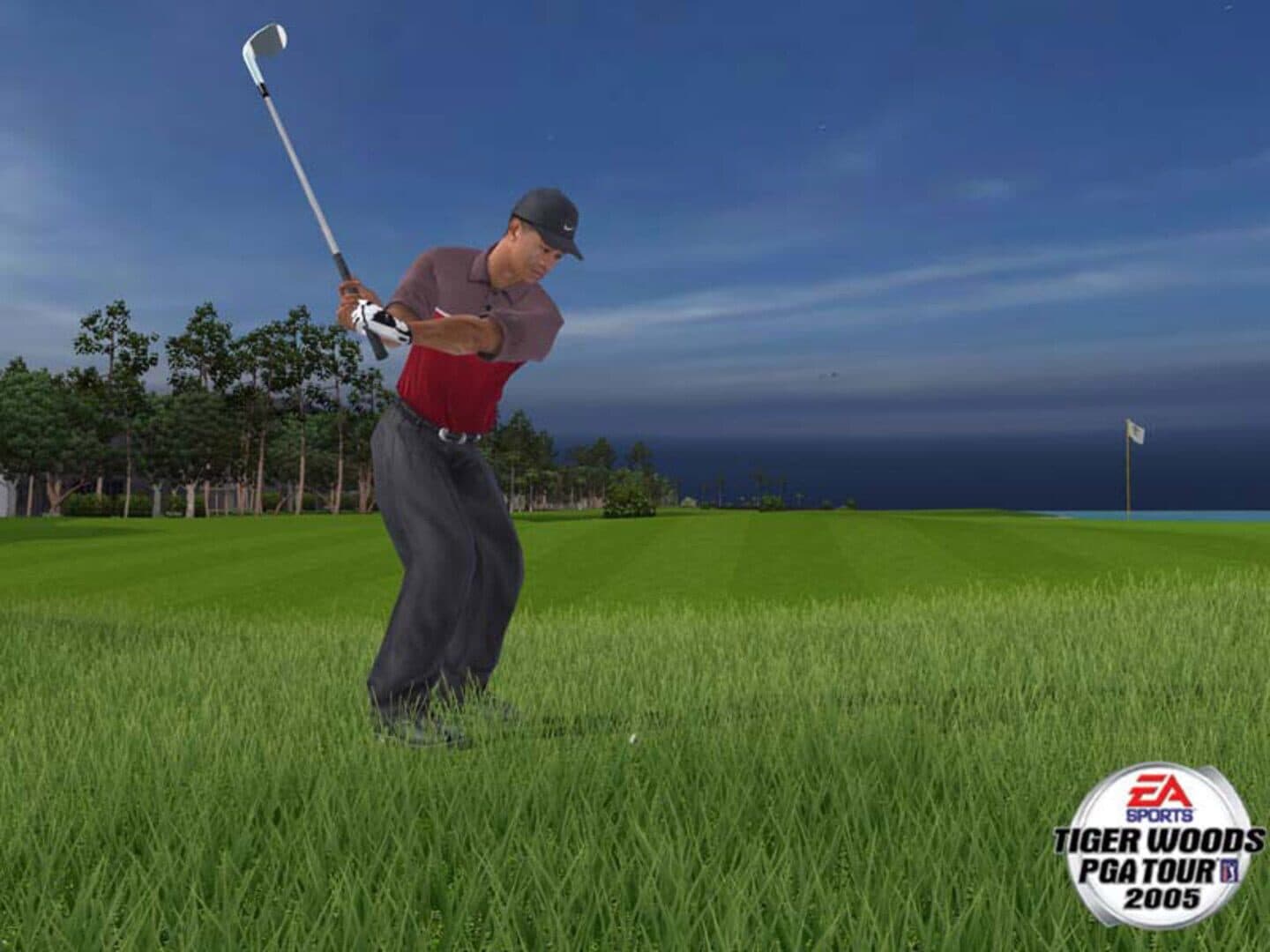Tiger Woods PGA Tour 2005 artwork
