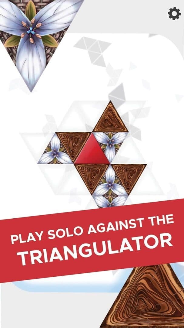 Triangul8 artwork