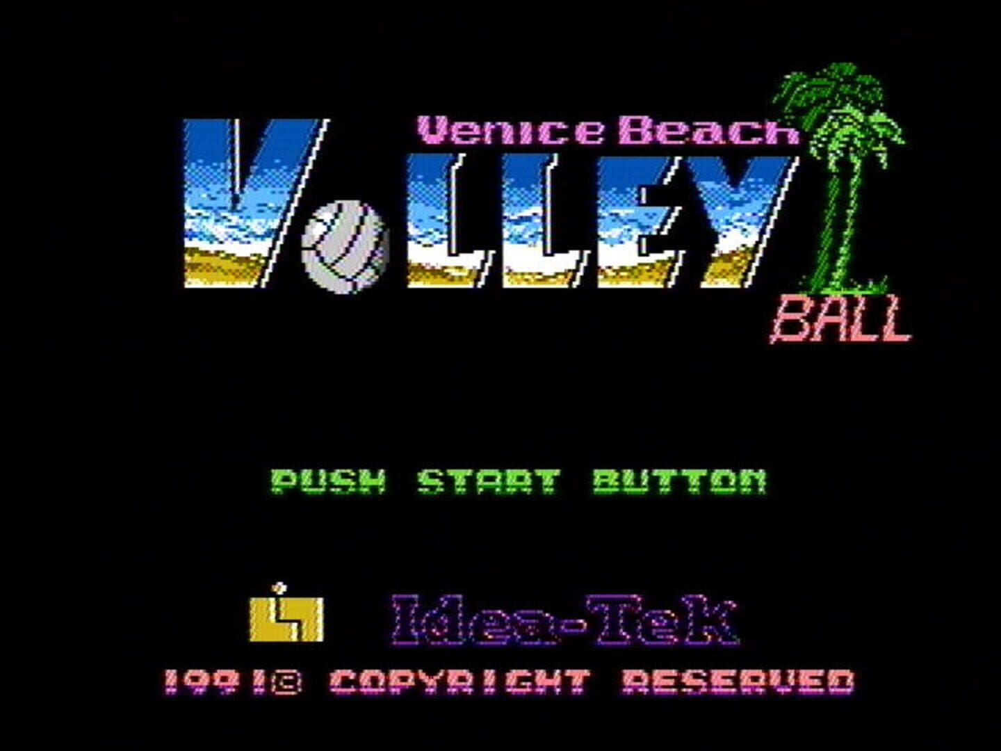Venice Beach Volleyball artwork